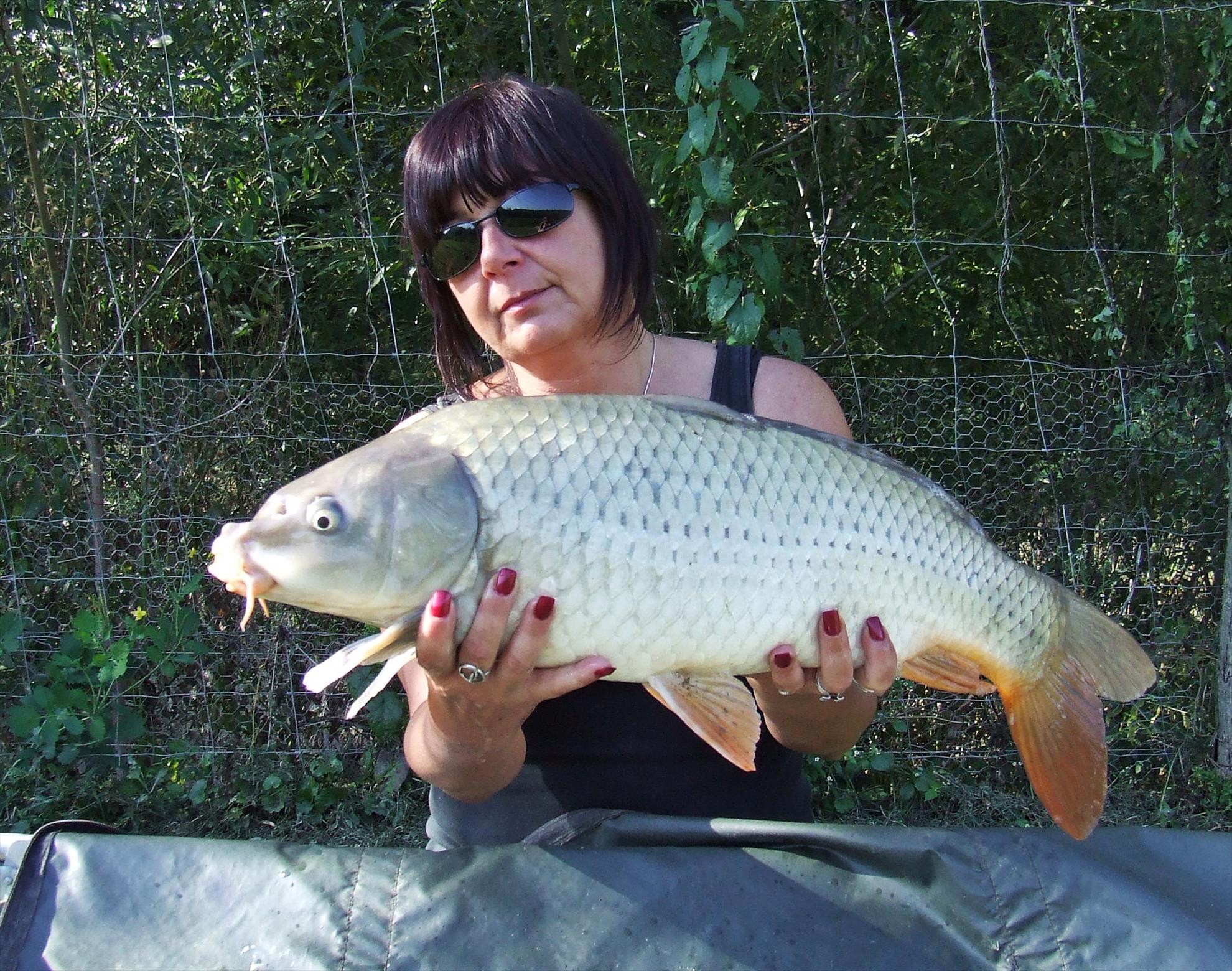 Pescuit 2015 Vol.III. - 20.JPG